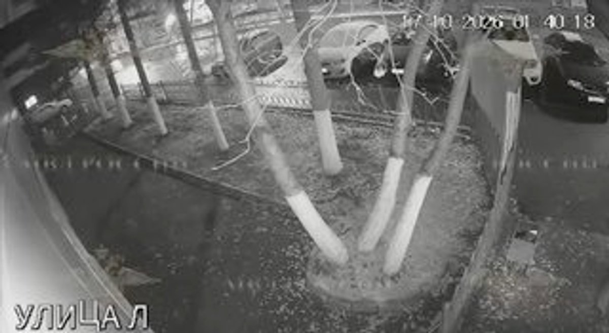 19-летнего студента обманом довели до поджога полицейской машины Студент ПГУ стал жертвой мно…