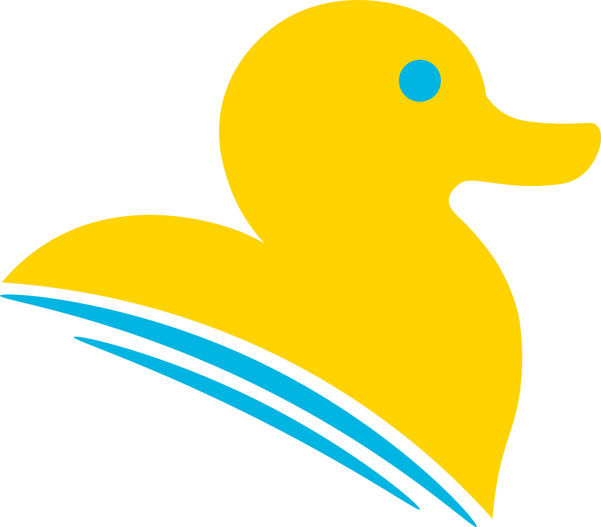 Duck Wash